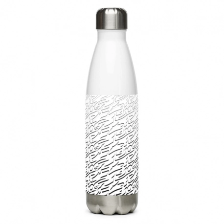 - Stainless Steel Water Bottle