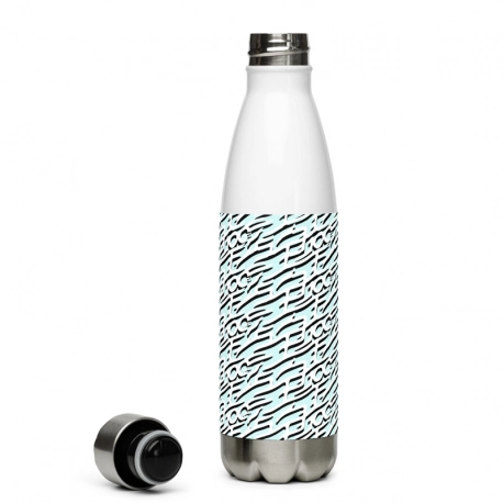 - Stainless Steel Water Bottle