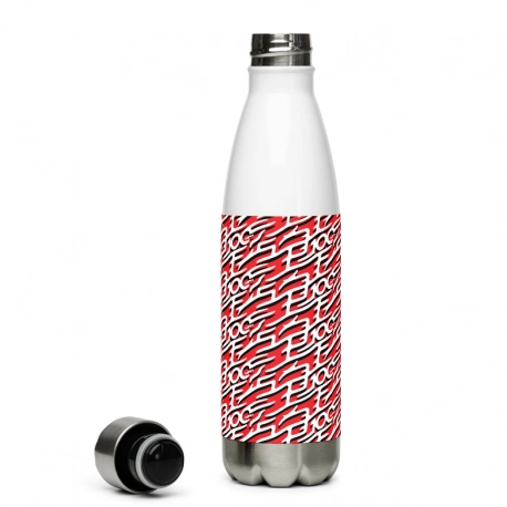 - Stainless Steel Water Bottle