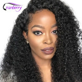 Cranberry Hair 4x4 Closure Wig 100% Remy Hair Curly Human Hair Wigs Peruvian Wig Lace Front Human Hair Wigs Lace Closure Wigs