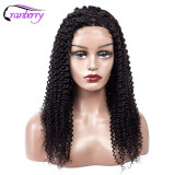 Cranberry Hair 4x4 Closure Wig 100% Remy Hair Curly Human Hair Wigs Peruvian Wig Lace Front Human Hair Wigs Lace Closure Wigs