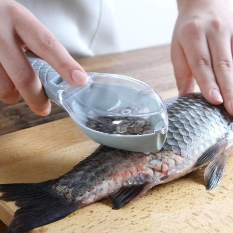 Fish Scraper  Cleans Scales Without The Mess!