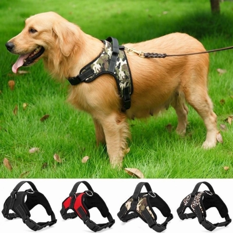 2019 Padded Nylon Heavy Duty Dog Harness