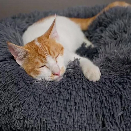 Fluffy & Puffy Pet Bed