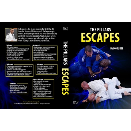 The Pillars of Jiu-Jitsu: Escapes Mastery