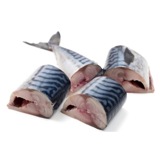Mackerel (Titus) - Cut & Degutted (Head Included)