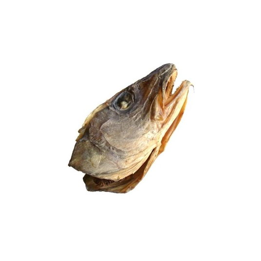 Stockfish – Whole Head and Jaws
