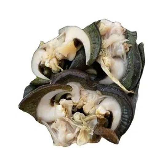 Snail – Frozen Fresh