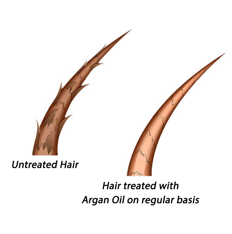 Treat Split Ends, dried damaged hair Using Al Hoor Argan Oil