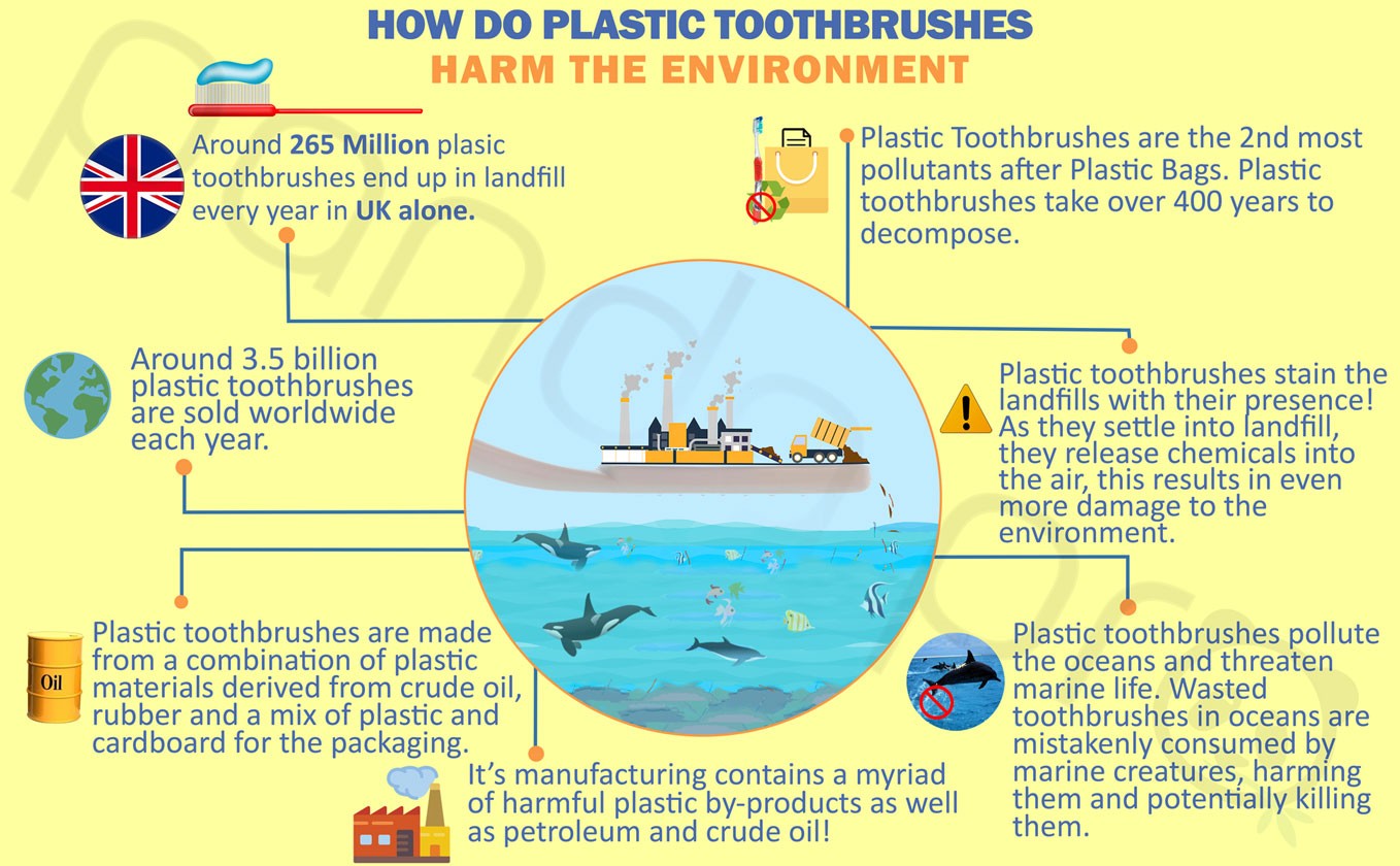 How Do Plastic Toothbrushes Harm The Environment