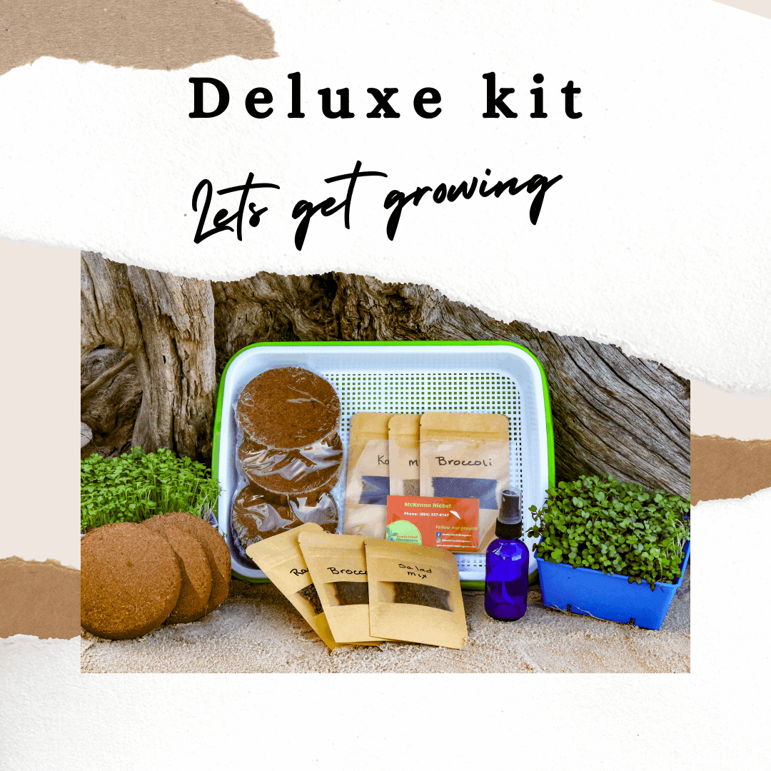 Deluxe Microgreens Kit
