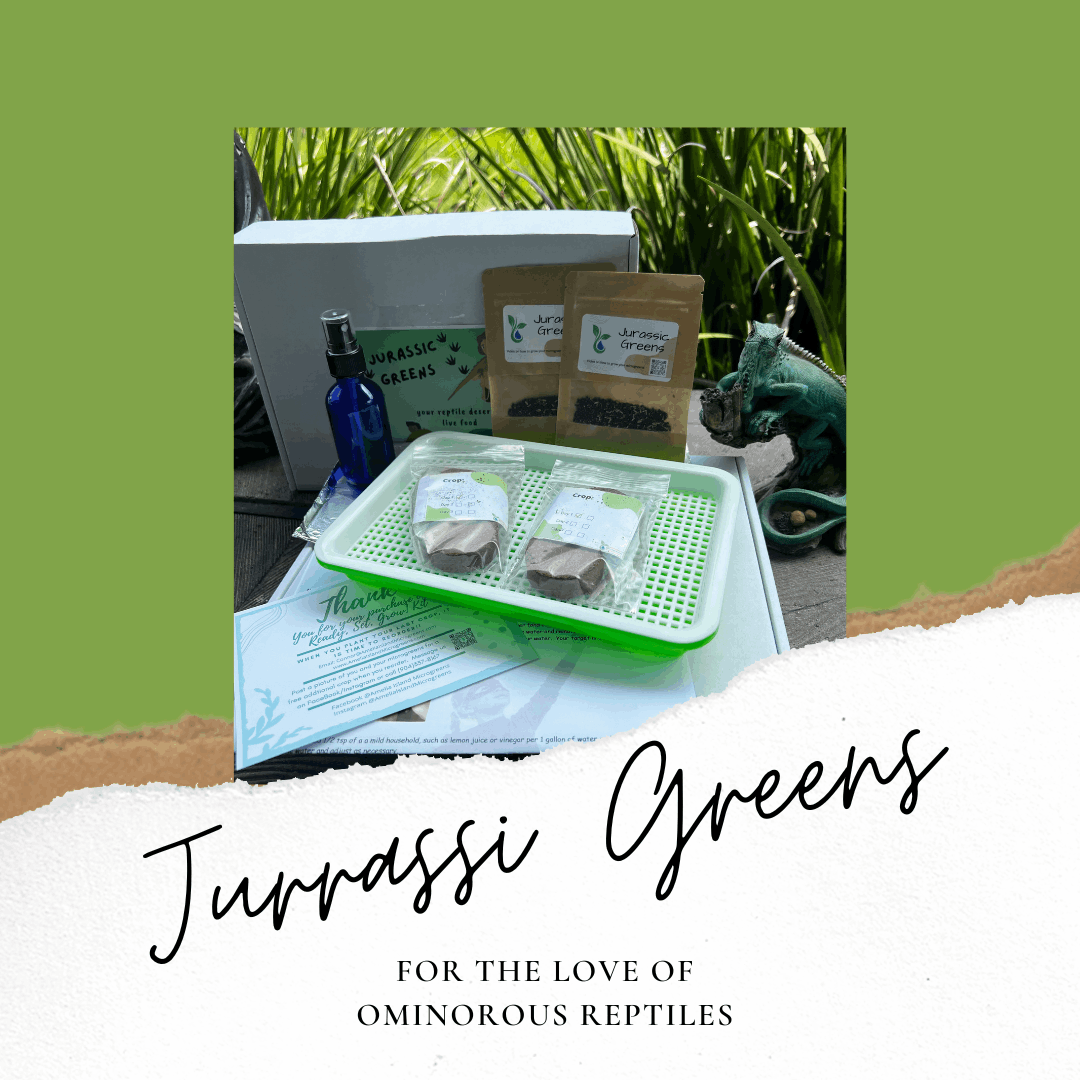 Jurassic Greens Kit