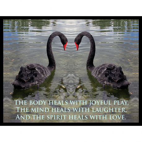AFLA-Body Heals Black Swans_8-5x11_Poster