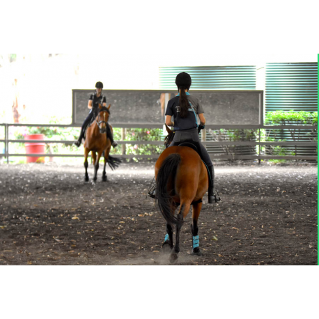 Term Commitment- Semi-Private Lessons – Fortnightly