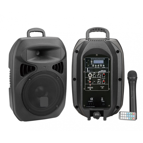 Multimedia Portable Speaker