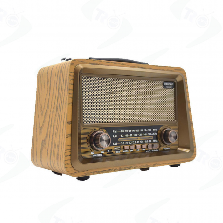 Antique Rechargeable Radio (3 Band)