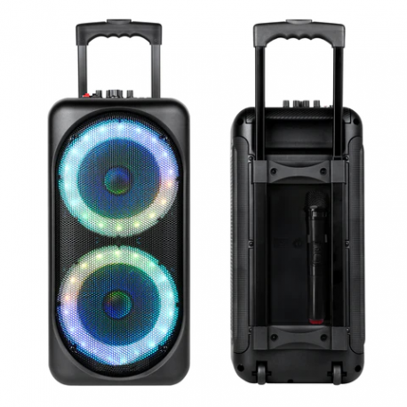 Multimedia Portable Dual Speaker
