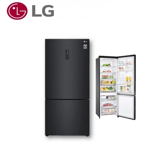 Bottom Freezer Refrigerator