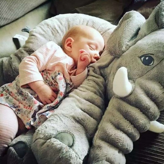 Kawaii Plush Elephant Toy