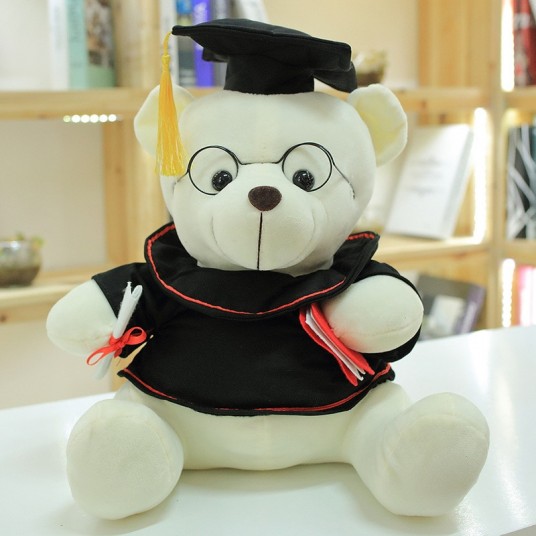 Cute Graduate Dr. Bear Plush Toy