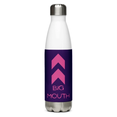 Big Mouth Stainless Steel Water Bottle - Pink & Purple