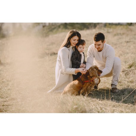 5 Reasons Why Your Pet Should Be Part of Your Family Photos