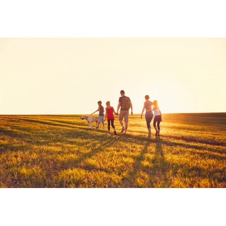 7 Tips for Taking Family Photos with Your Dog