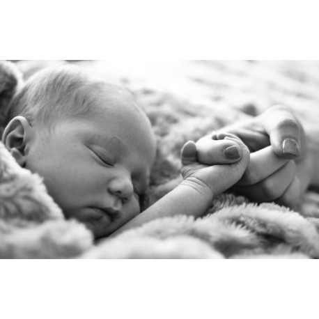 Everything You Need to Know About a Newborn Session