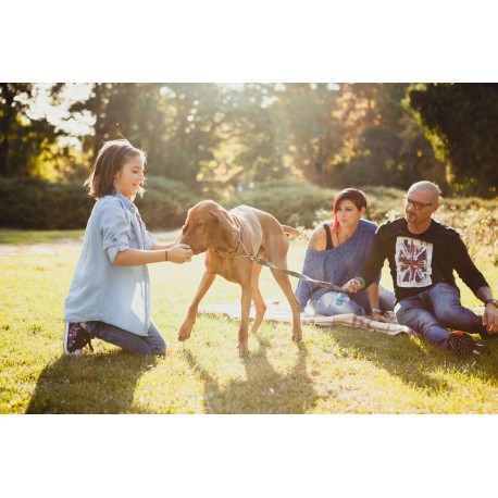 How to Prepare for a Stress-Free Family Photo Session