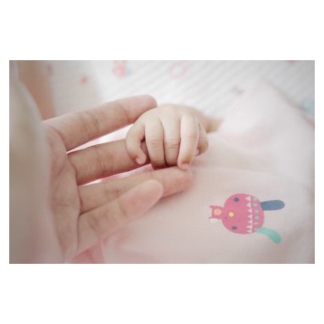 Newborn Photography Template