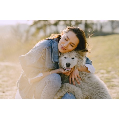 Pet Keyword Research & Mapping Blueprint