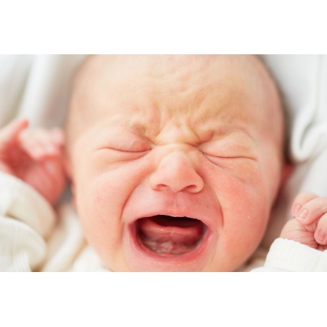 Understanding Your Baby's Temperament
