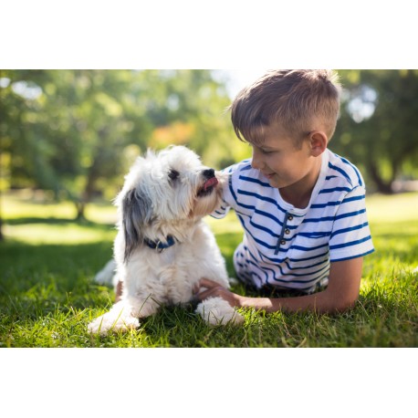 What to Bring to Your Dog Photo Session