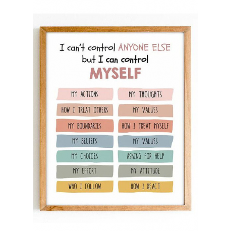 Things I can control poster, Mental Health, Therapy Counseling Wall Art, Classroom Poster, Counselor, Therapist, Anxiety, What I