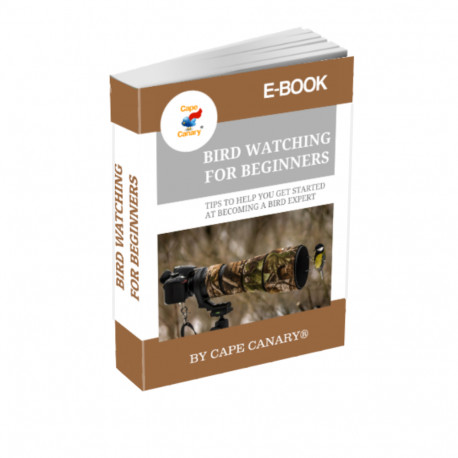 Bird Watching For Beginners Ebook