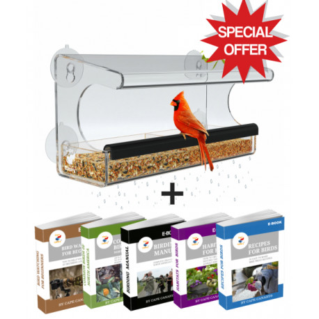 Window Bird Feeder For Outside Use with Strong Suction Cups and Removable Tray + Ebook Bundle