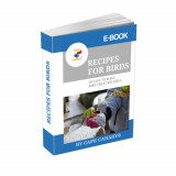 SPECIAL OFFER! Ebook Book Bundle-5 Bird Ebooks Included