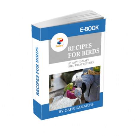Recipes For Birds Ebook