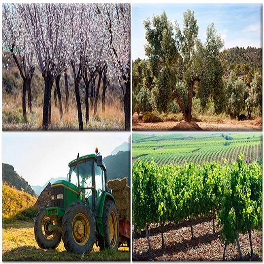 Ayudas a inversiones en Explotaciones Agrícolas y Ganaderas