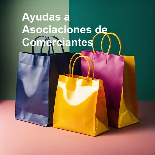Subvenciones a Asociaciones para mejora, modernización y promoción del comercio y la artesanía
