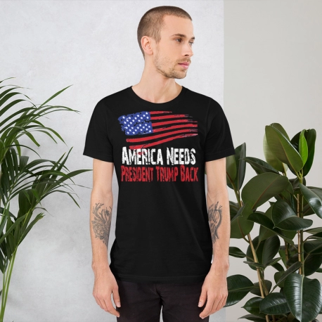 America Needs President Trump Back T-Shirt