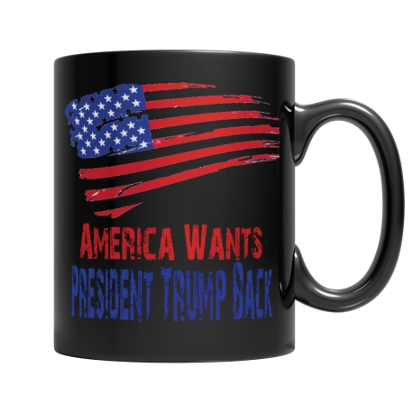 America Wants President Trump Back Mug