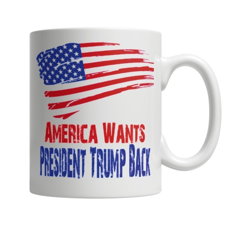 America Needs President Trump Mug