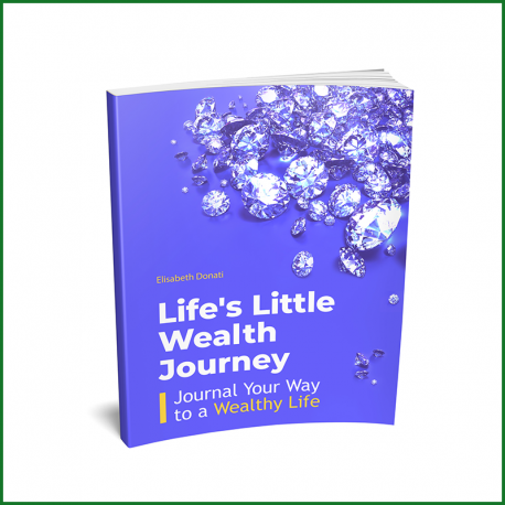 Life's Little Wealth Journey - Printed 8.5 x 11 Book (Free Shipping)