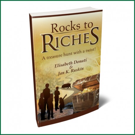 Rocks to Riches Financial Adventure Book