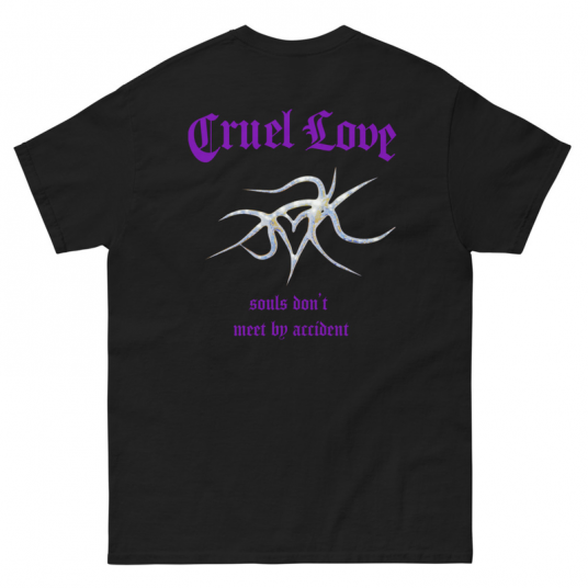 Souls don't meet by accident (Purple letters)