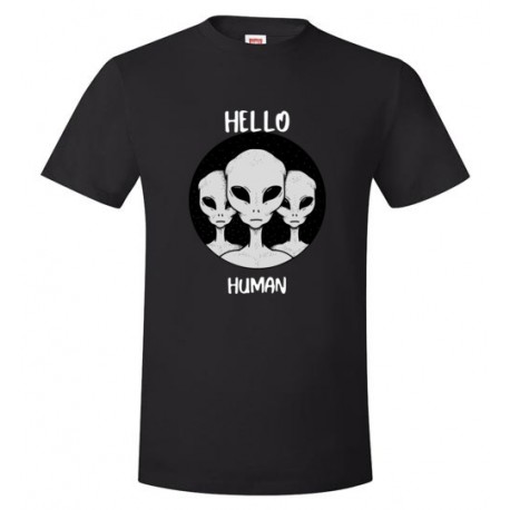Hello Human Hanes Nano-T T-Shirt