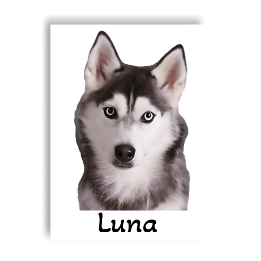 Maak Jouw Hond Onsterfelijk met Deze Prachtige Gepersonaliseerde Poster!
