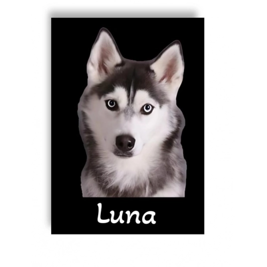 Exclusief: Vereeuwig Jouw Hond op een Luxe Gepersonaliseerde Poster!