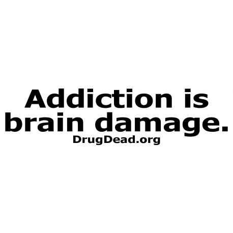 Addiction Brain Damage Bumper Sticker